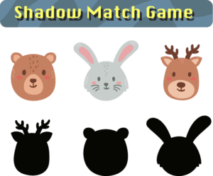 Shadow Match Game